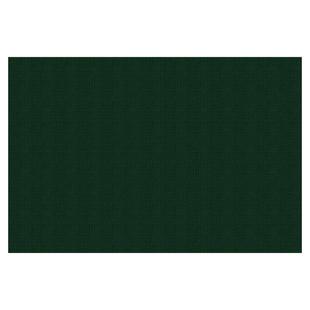 TPR入户门地垫纯色墨绿色地毯家用进门门垫大门口玄关脚垫可裁剪