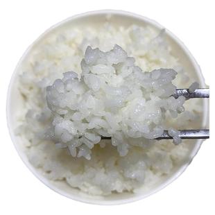 金奶奶有机东北粳米新大米2025年新米吉林梅河大米农家粳米熬米油