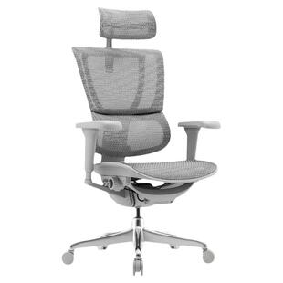 保友优b雄鹰 电脑椅人体工学椅家用护腰电竞椅办公座椅可躺靠背椅