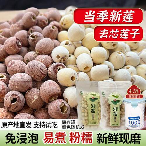 【小茵姑娘】湘潭莲子双拼组合白莲250g+红莲250g
