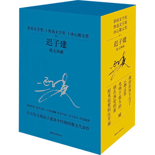 迟子建散文典藏全5册 茅盾文学奖得主散文自选集我的世界下雪了原来姹紫嫣红开遍云烟过客光明于低头的一瞬锁在深处的蜜新华文轩