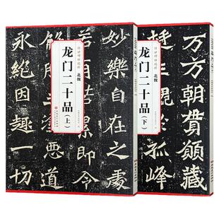 传世碑帖精粹 龙门二十品 上、下 书法入门临摹练习技法解析碑帖安徽美术