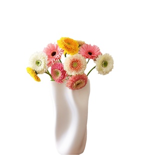 爱必达弗朗鲜花云南直发非洲菊鲜切花室内水养新鲜插花扶郎花花束