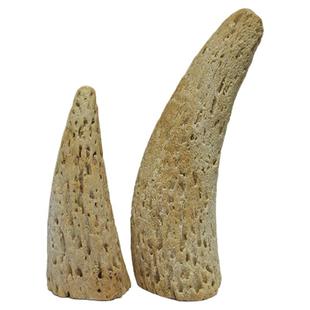 牛角髓狗狗零食风干牛角纯骨髓没有壳无添加洁齿磨牙棒小中大型犬