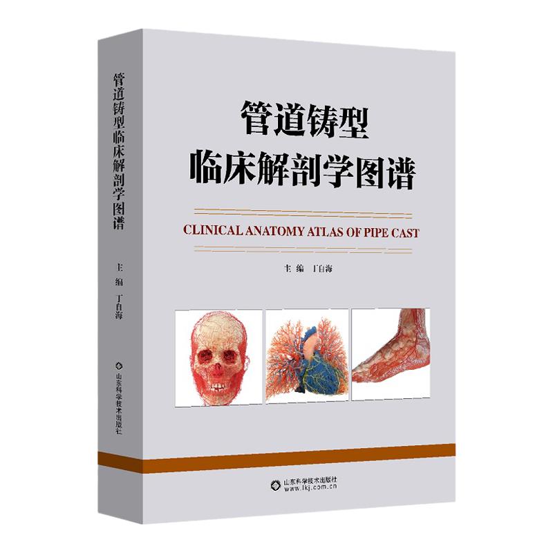管道铸型临床解剖学图谱 丁自海 主编 人体不同部位或器官的血管或管道解剖 肺和肝的管道 山东科学技术出版社 9787572309441