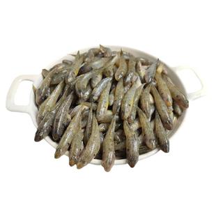 大号山坑鱼小龙鱼小河鱼小鱼仔冷冻水产冰鲜豪根鱼5份21省包邮