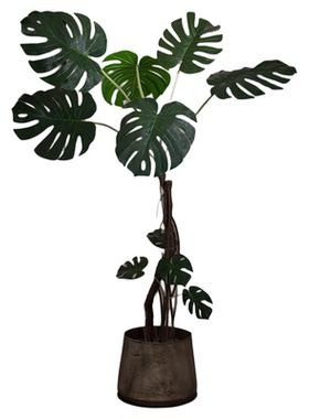 仿真绿植大型龟背竹办公服装植物