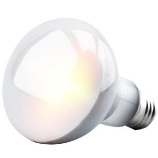 UVA爬虫日灯陆龟箱蜥蜴乌龟爬宠加热保温晒背灯夜灯恒温灯聚光灯