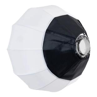 Rawray若锐 mini保荣口配件 150DC补光灯 标准罩 转接环 柔光箱 柔光球 深抛