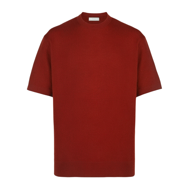 SEASONMARK新款砖红色绵羊毛打底衫短袖休闲时尚圆领情侣T恤男款
