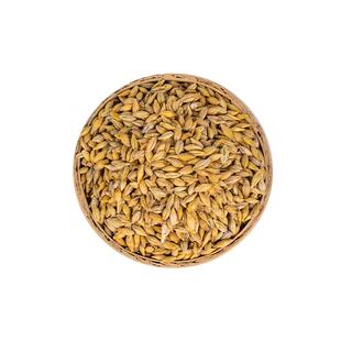 新货带壳大麦2500g农家自产大麦粒发芽做麦芽糖可做大麦茶包邮