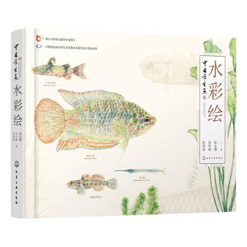 中国原生鱼水彩绘 张国刚 彭作刚 常见原生鱼类精美原创水彩画物种饲养体验等中国原生鱼美艳鉴别鱼种中国小型淡水鱼饲养殖常识书