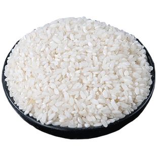 桂朝米凉糕肠稻米早稻早籼米凉虾不粘肠粉专用糙米贵朝米商用家用