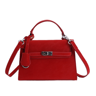 超火不撞款手提小拎包包女式2026新款高级质感轻奢小众单肩斜挎包