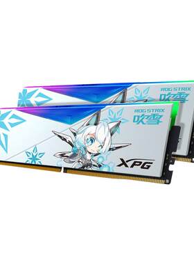 华硕威刚d50吹雪内存DDR5灯条