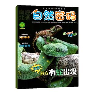 自然密码杂志2026年1-2月(另有2025年/全年/半年订阅)儿童画报探索与发现科海故事博览10-15岁科普探秘少儿南腔北调过刊(单本)