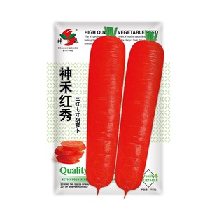 胡萝卜种子四季脆甜胡萝卜种籽子种籽水果萝卜种孑菜籽胡罗卜种孑