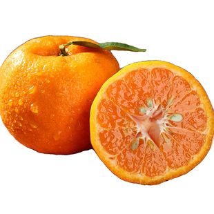 现摘重庆奉节椪柑新鲜芦柑四川现发大果橘子10斤当季水果顺丰碰柑