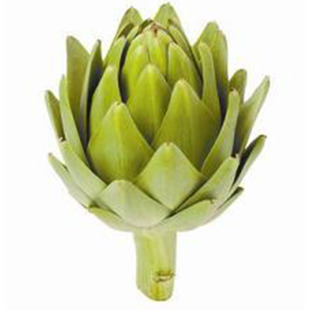 洋蓟种子百合绿球朝鲜蓟菊蓟菜蓟种籽紫罗兰四季农家蔬菜种孑