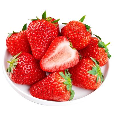 【天猫甄选】丹东99草莓