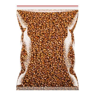 生决明子散装做枕头全填充枕芯婴儿儿童炒熟官方旗舰店正品绝明子