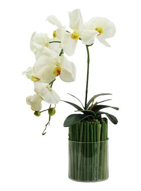 摆件展厅软装装饰品卫生间饰品