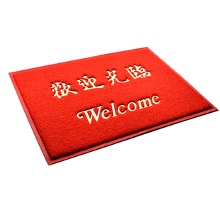 超厚门口迎宾地毯出入平安门垫进门入户地垫欢迎光临户外丝圈脚垫