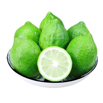 广东香水柠檬新鲜精选果无籽青柠果园现摘香柠檬咖啡奶茶店专用
