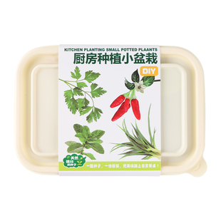 小学生儿童植物观察香菜罗勒薄荷种子种植土培盆栽幼儿园科学实验