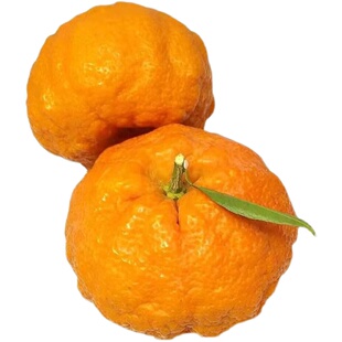 陕西特产旬阳狮头柑丑八怪皇帝柑贡柑桔子新鲜橘子现摘大果5/10斤