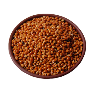 糜子散装免洗黍子枕头填充物婴儿装枕芯料蒙稷红谷子褥疮垫凉凉籽