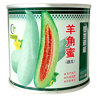 山东羊角蜜甜瓜种子种籽孑苗正品瓜苗四季脆秧苗苗子秧南方秧子瓜