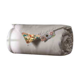 蚕丝被100桑蚕丝官方旗舰店正品丝绵被被子被芯子母被秋冬被加厚