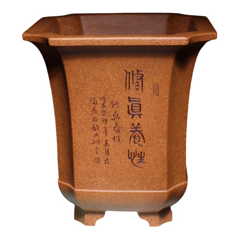 紫砂飘口玲珑八方兰花专用盆