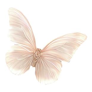 法式奶油风蝴蝶客厅装饰画玄关背景墙挂画灯光画高级感卧室壁画