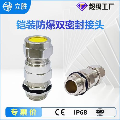 铠装防爆格兰头黄铜镀镍电缆IP68接头填料函螺纹船用电缆接头双头