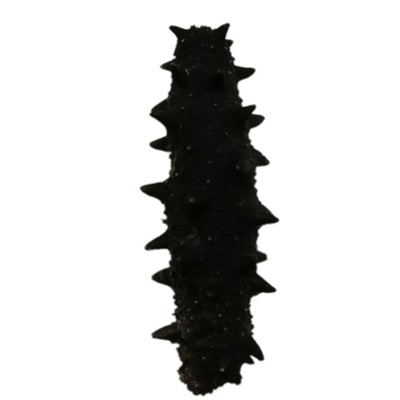 烟台淡干海参野生海参干货