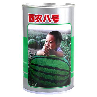 8号西瓜种子孑苗早熟南方春季
