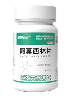 宠物用阿莫西林片消炎药