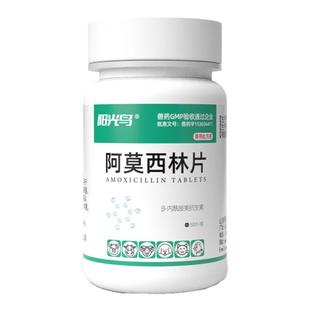 宠物狗狗猫咪猫感冒鼻支感染伤口消炎药口炎咳嗽阿莫西林片兽用鸡