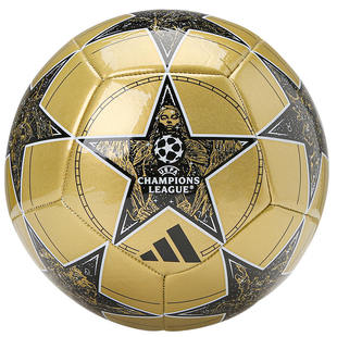 ADIDA欧冠足球世界杯阿迪达斯五号5号儿童4号球训练足球男IN9332