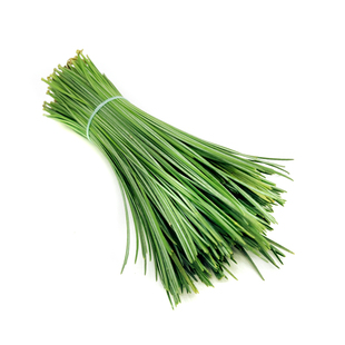 新鲜大松针马尾松250g黑松非香松黄金柳芽西餐摆盘装饰非蓬莱松针