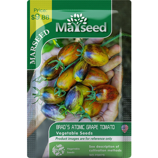 【掌柜推荐】进口传家宝Brad's Atomic布拉德的原子葡萄番茄种子