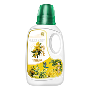 桂花树专用营养液促花爆花肥盆栽桂花树肥料专用肥黄叶干尖枯叶病