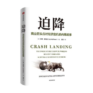 迫降 商业巨头应对经济危机的内幕故事 利兹 霍夫曼著 渴望在危机中生存的人都应该读读这本书 中信出版社图书 正版