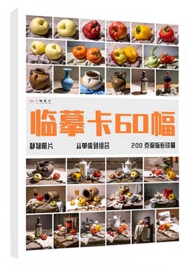 静物照片临摹卡60幅正反两用