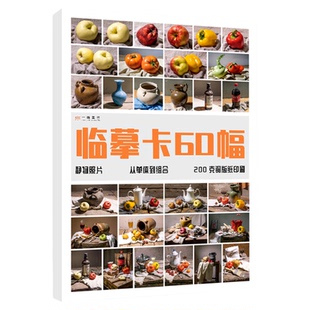 静物照片临摹卡60幅 美术绘画写生参考素材图片美术培训教学唯美文艺小清新精美卡片创意礼物原创作品学习卡片 一线美誉