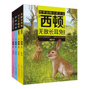 西顿动物小说fb无敌长耳兔 大力士熊王 野狼传奇 甘达峰的山羊大王 经典动物文学适合中小学生阅读课外书 安徽少年儿童出版社