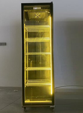 双门酒水饮料柜酒吧超市风冷冷藏展示柜三门单门啤酒柜保鲜