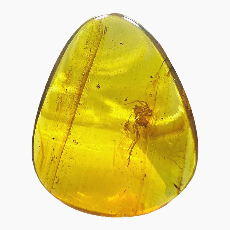 纯天然琥珀蜜蜡蜘蛛昆虫化石标本